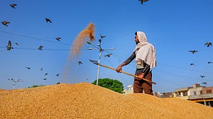 Haryana govt makes prior e-registration mandatory for outside farmers wishing to sell produce in state