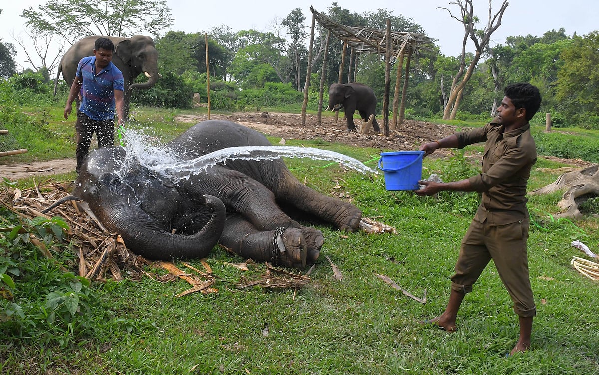 PHOTO BY-ABHISEK SAHA