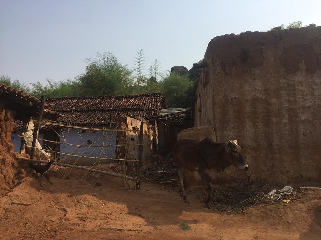 (NH Photo by Ashlin Mathew)