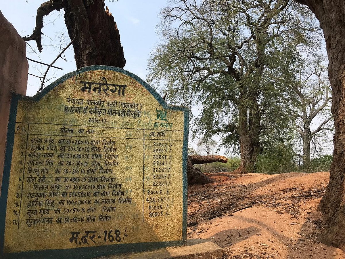 (NH Photo by Ashlin Mathew)