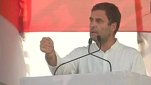 Congress president Rahul Gandhi (Social Media)