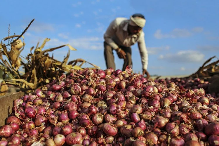 Sikar: Can onions politics be more potent than patriotism? 