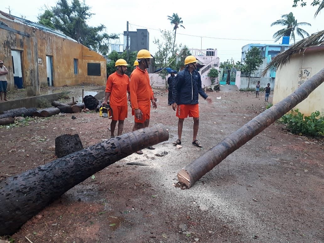 In Photos: Cyclone Fani wreaks havoc in Odisha, winds blowing at 245 kph, trees uprooted & villages submerged