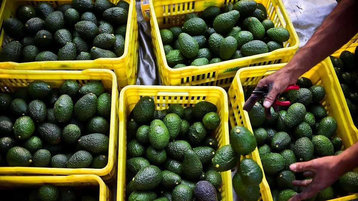 US to impose 5% tariff on all Mexican imports from June