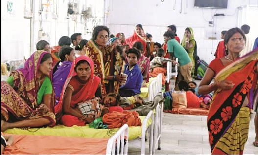 Ground report: With doctors missing, health centres used for playing cards and tying cattle