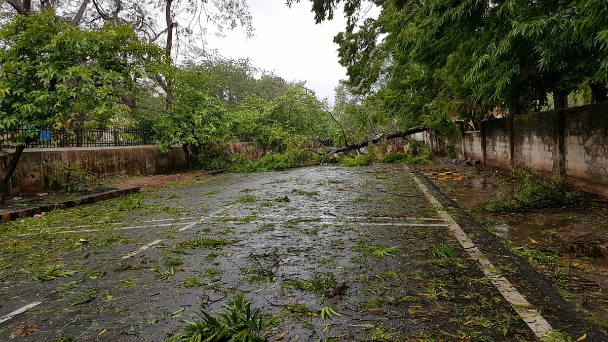 Cyclone Fani: Damage to the environment 