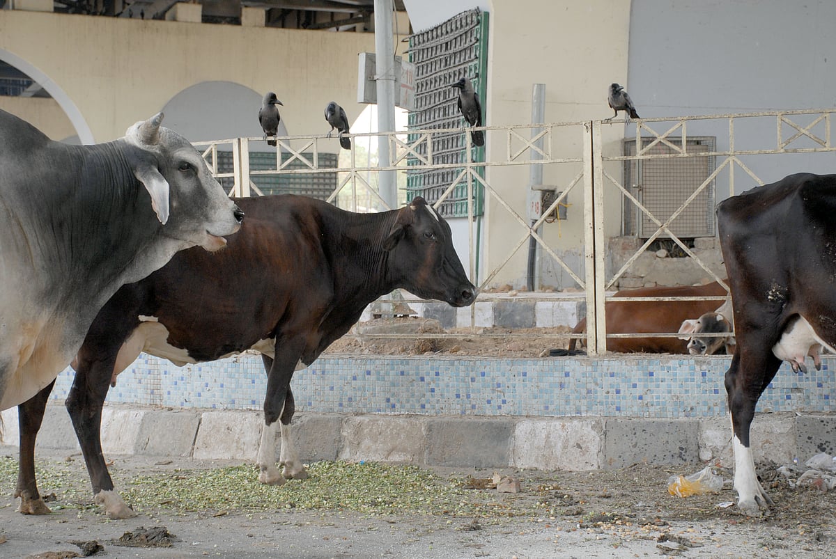 June 12: Delhi and beyond, in pictures