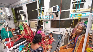 Bihar had reported just seven AES deaths in 2018 and 11 in 2017