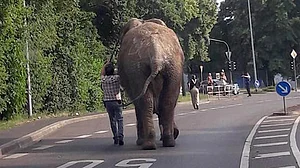 Representative Image