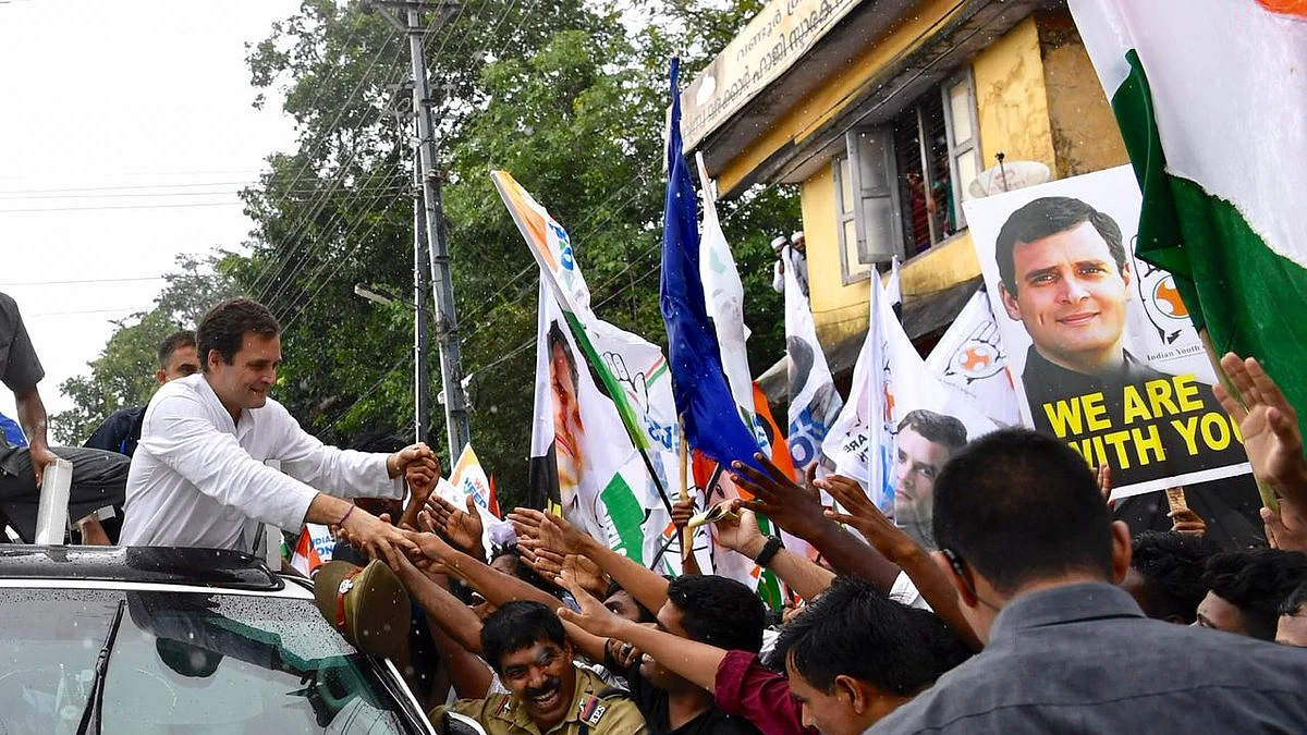 Thousands of people on Friday turned up amid heavy rain to catch a glimpse of Congress president Rahul Gandhi, who has been elected to Lok Sabha from Wayanad in Kerala, at his roadshow.