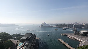 Sydney declares climate emergency to tackle global warming