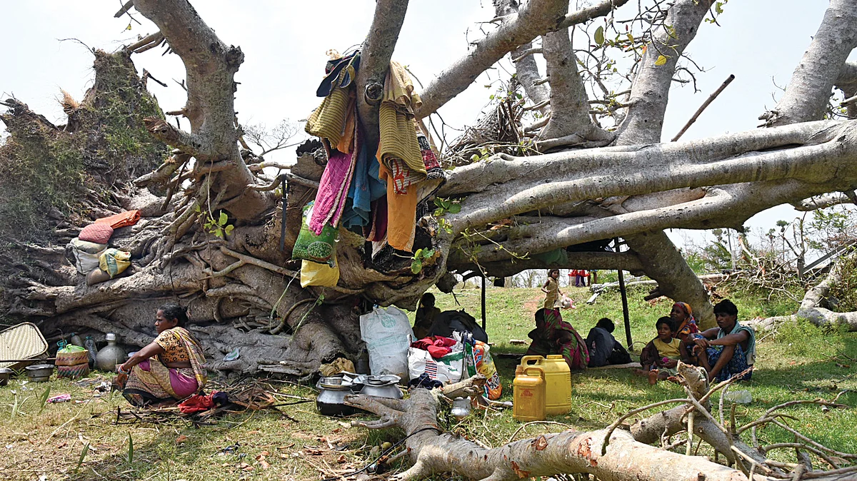 Photo by Arbinda Mahapatra and Biswaranjan Mishra