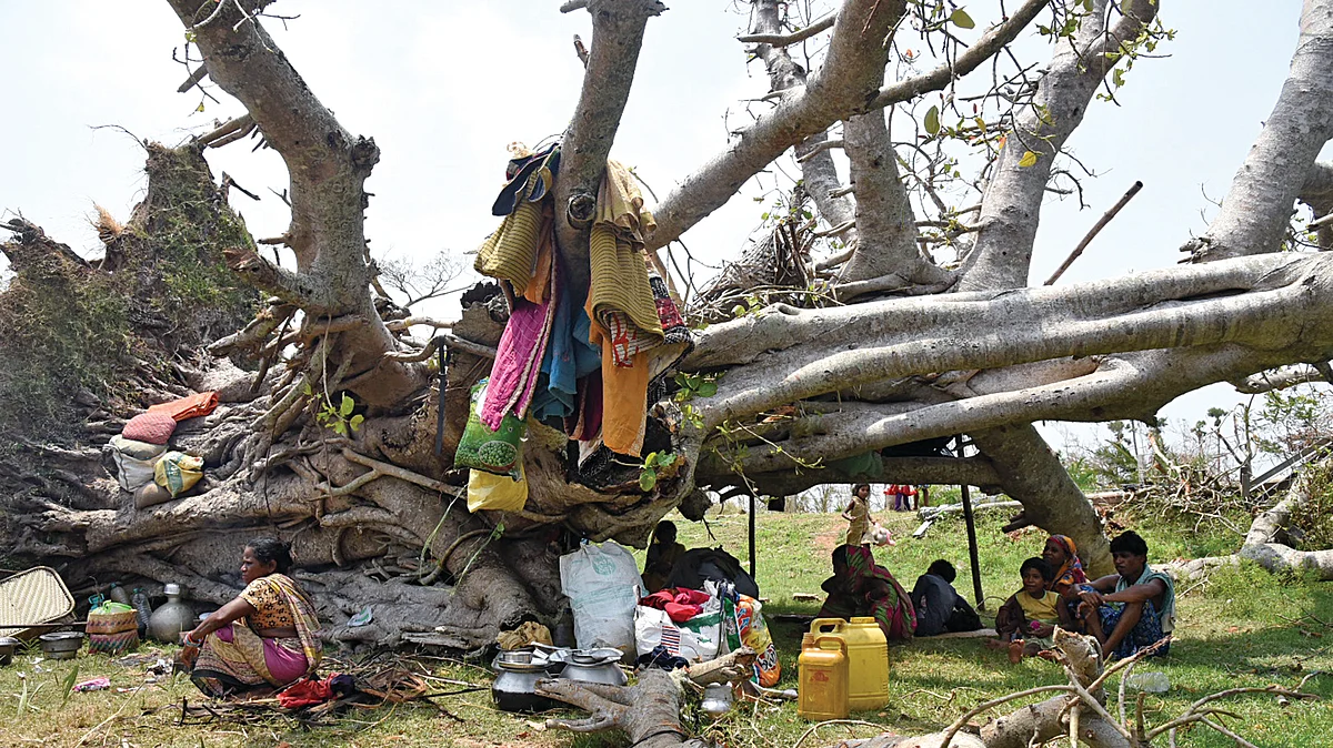 Photograph by Arabinda Mahapatra and Biswarjan Mishra