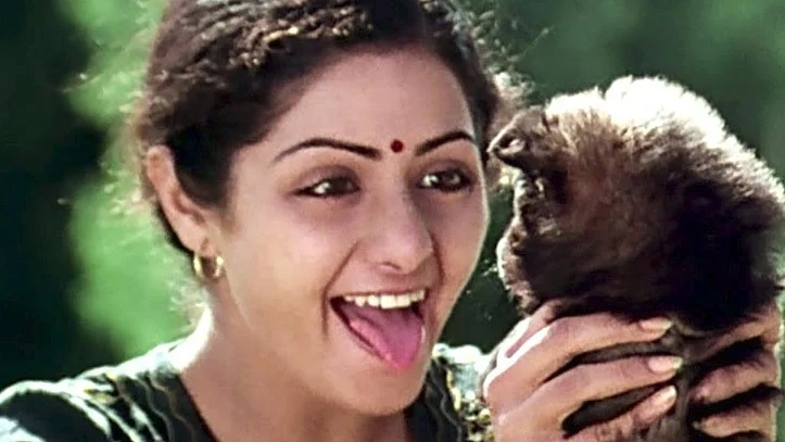 Sridevi in Sadma
