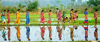 Govt of India botches Gender budgeting, allocates just 2.1%, 0.73% for SC, ST women