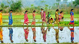 Govt of India botches Gender budgeting, allocates just 2.1%, 0.73% for SC, ST women