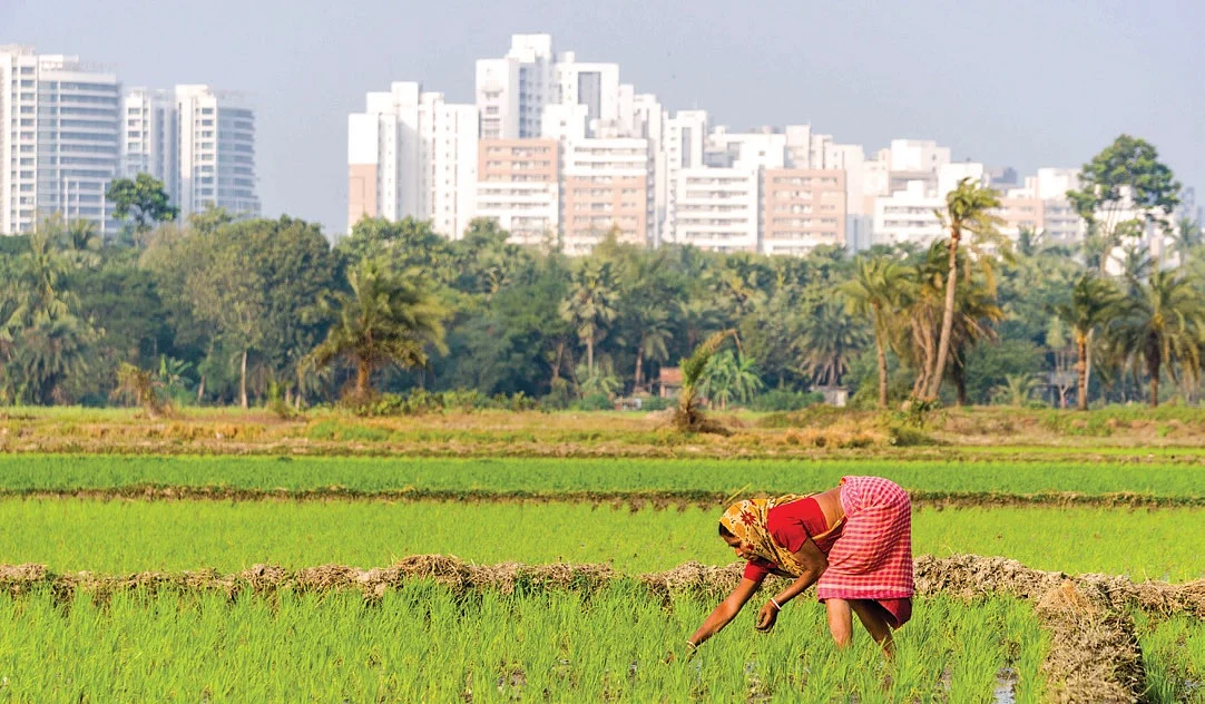 Economists could borrow from the weatherman: Economy growing at 7% but feels like it is four !