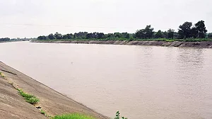 Kamal Nath govt launches probe into massive plantation drive of Shivraj Singh Chouhan govt