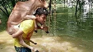 Floods return to Kerala with vengeance, more than 23,000 in relief camps