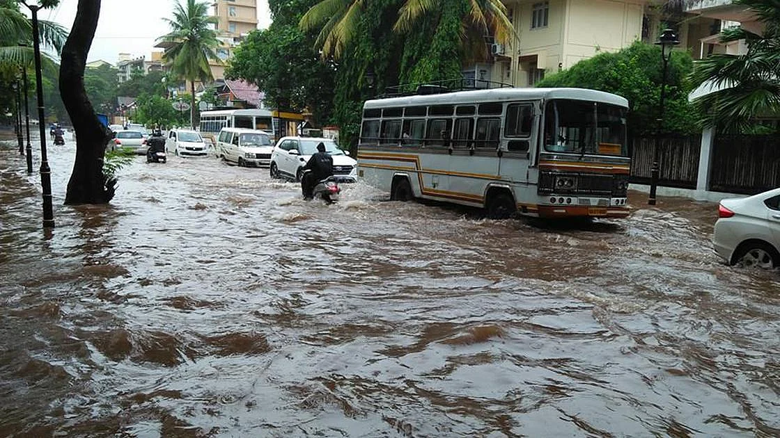 Goa floods affect 6,000 farmers, 1,928 hectares land: Deputy CM