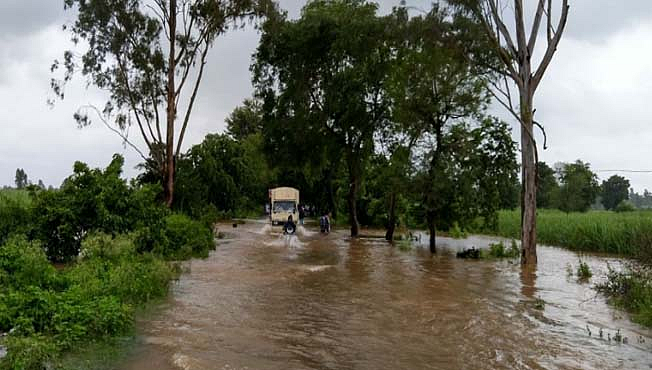 Monsoon mayhem wreaks havoc in Madhya Pradesh; human lives, standing crops, livestock lost en masse
