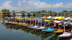 Kashmir’s golden yellow autumn arrives without any tourists