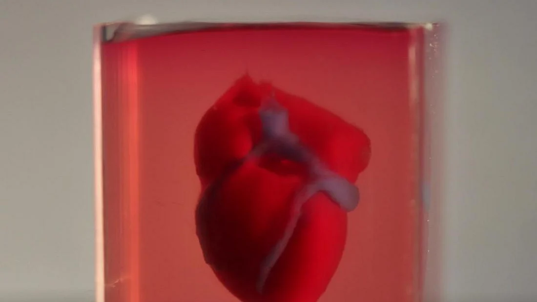 Scientists a step closer to print 3D full-sized adult human heart