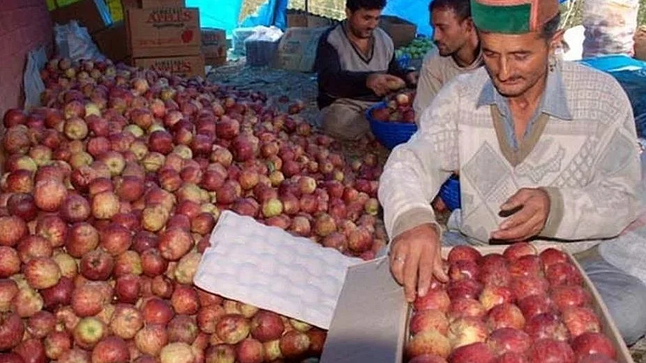 Representational image (Photo courtesy: Social Media)