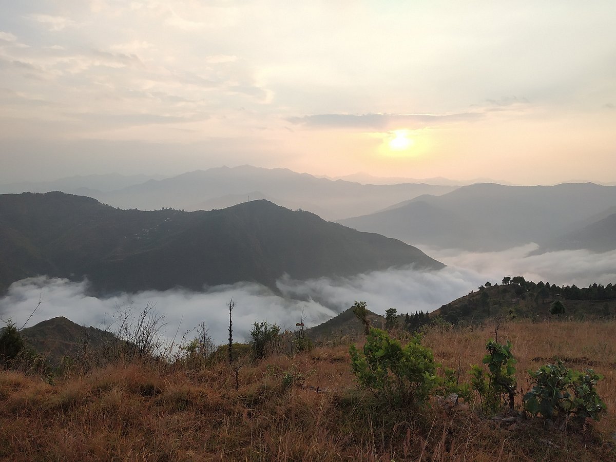 Sneak peek into PSBT Open Frame 2019