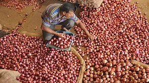 Amid escalating prices, Piyush Goyal says 7,000 tonnes onion already imported, more likely to arrive