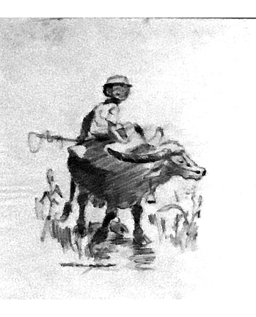 Cartoon by KG Subramanyan