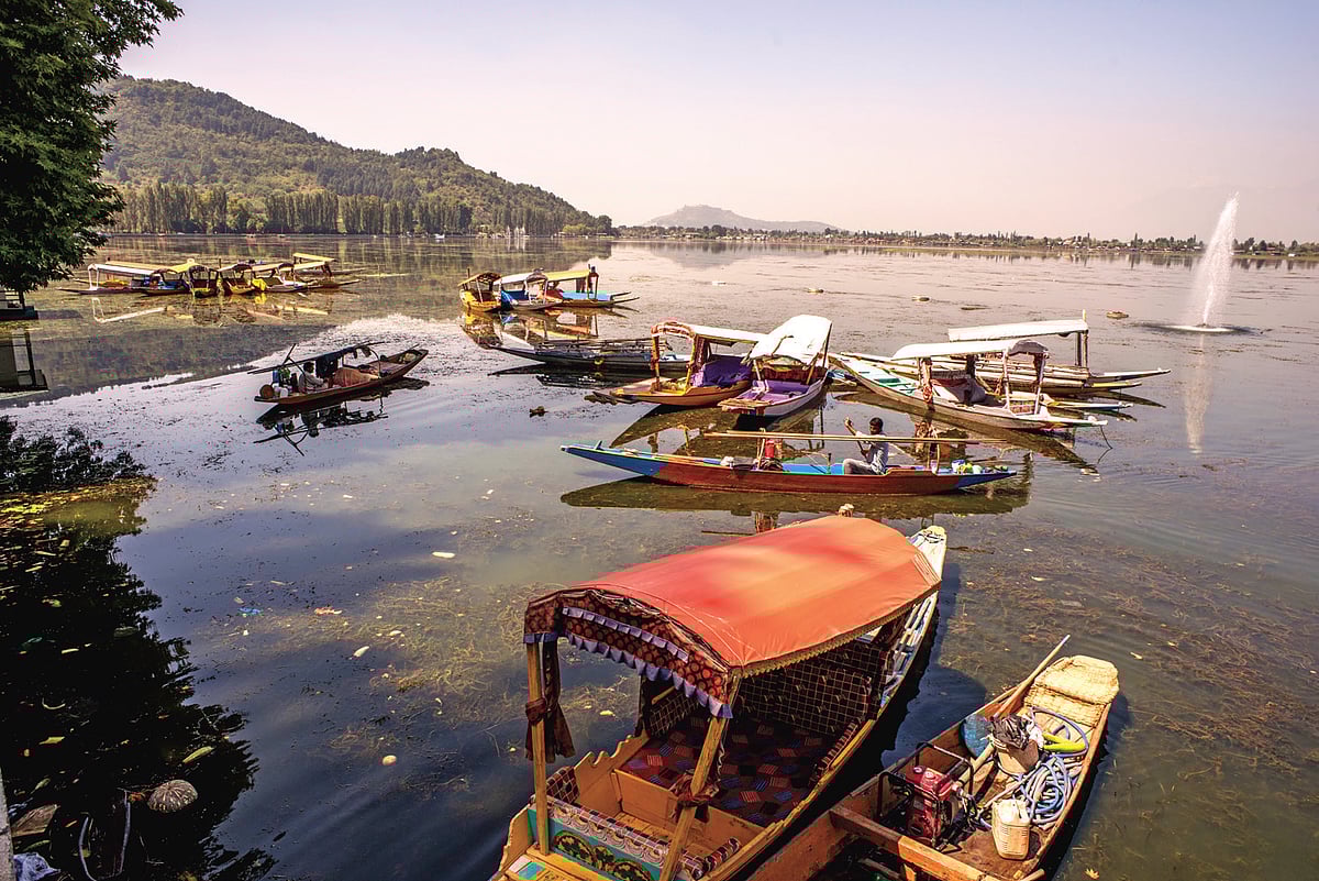 “Modi has destroyed us,” laments  vendor in Srinagar, wonders  why  honeymooning couples would return 