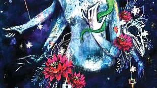 Fourteen richly imagined, meaningful and entertaining stories