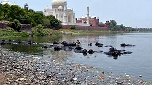 Stink is still the flavour of Yamuna in the city of Taj Mahal
