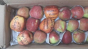 ‘Azadi’, ‘Burhan Wani’ written on apples from Kashmir; fruit sellers threaten boycott