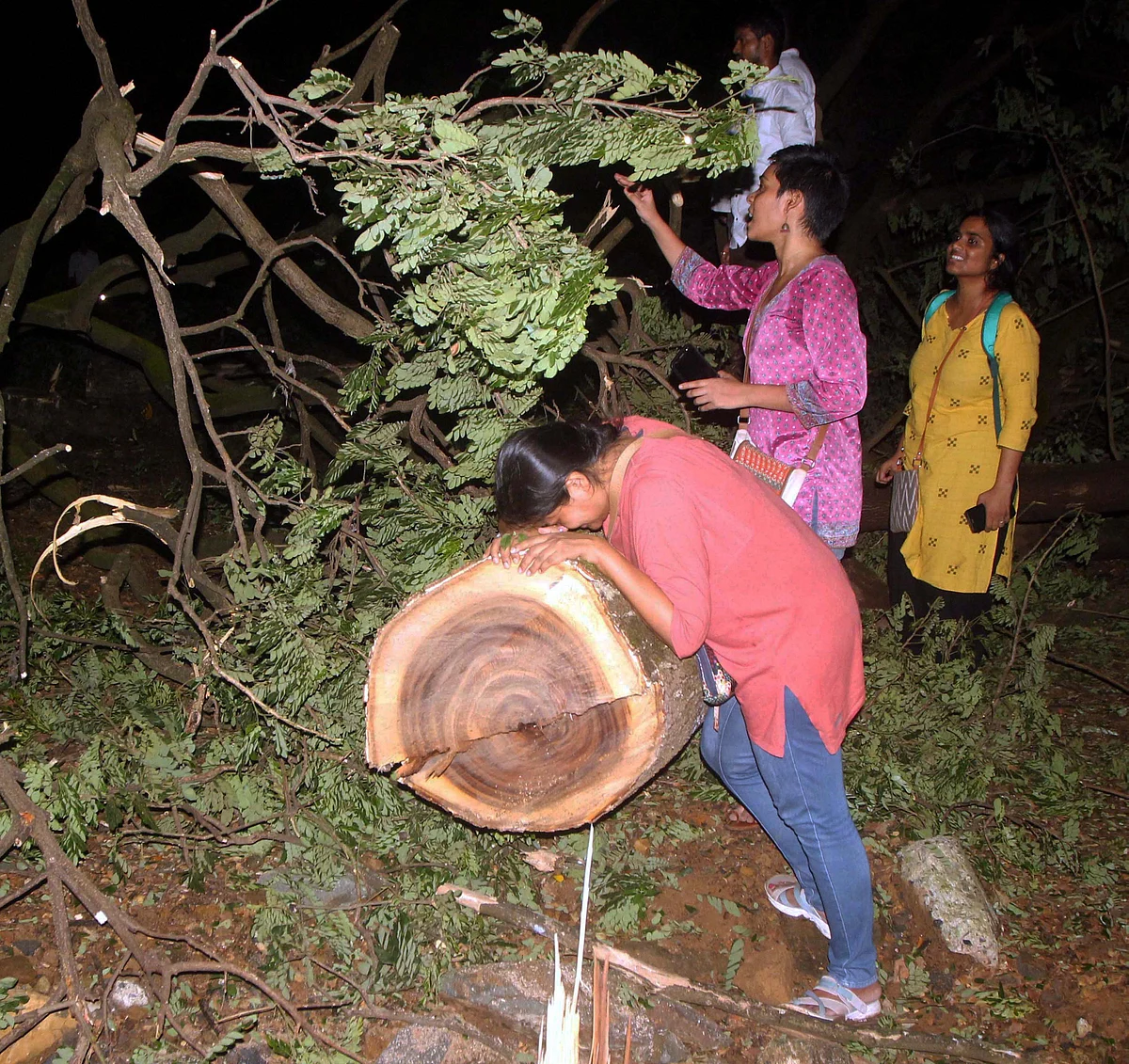 At Mumbai’s Aarey Colony, trees butchered @1/minute