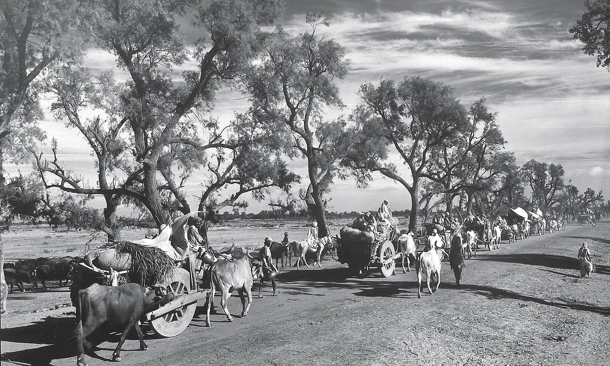 A moving and visceral account of Partition