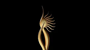 Do our film awards guarantee rewards?
