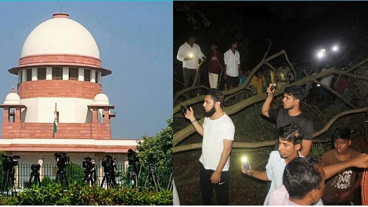 Aarey case: SC orders status quo, but govt may have already achieved its aim