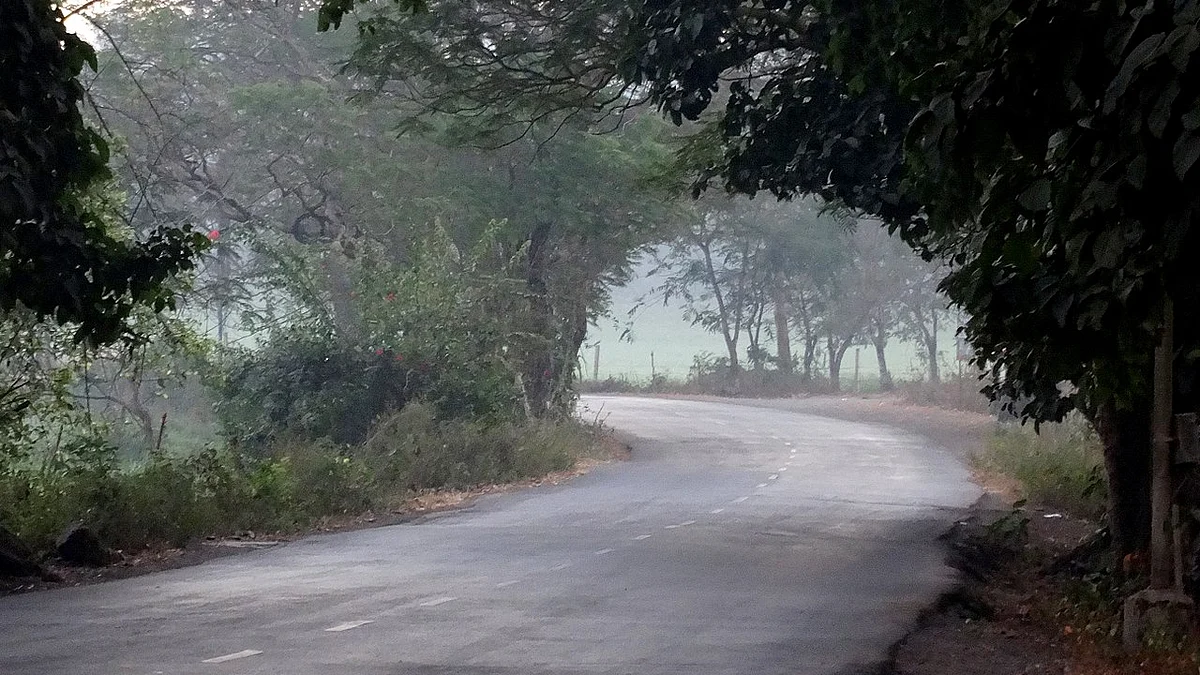 Section 144 imposed in Aarey Colony following protests over tree cutting