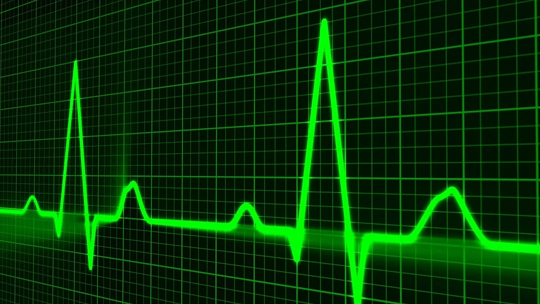 Representative image (IANS Photo)