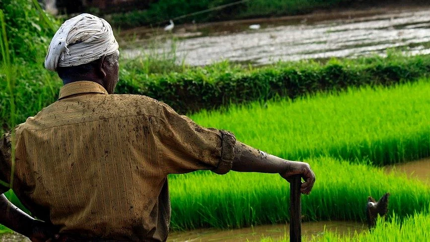 Farmer wants to be Maharashtra CM till Sena-BJP row on top post ends