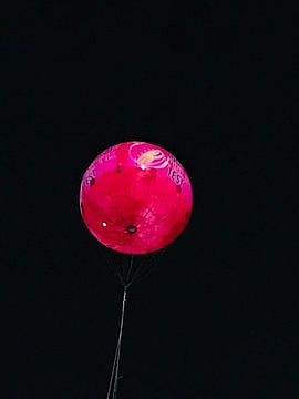 IN PHOTOS: City of Joy turns pink ahead of maiden Day and Night Test