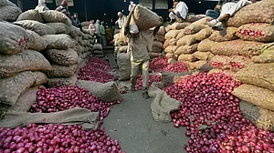 Imported onions not suitable for Indian tongue, govt may resort to distress sale