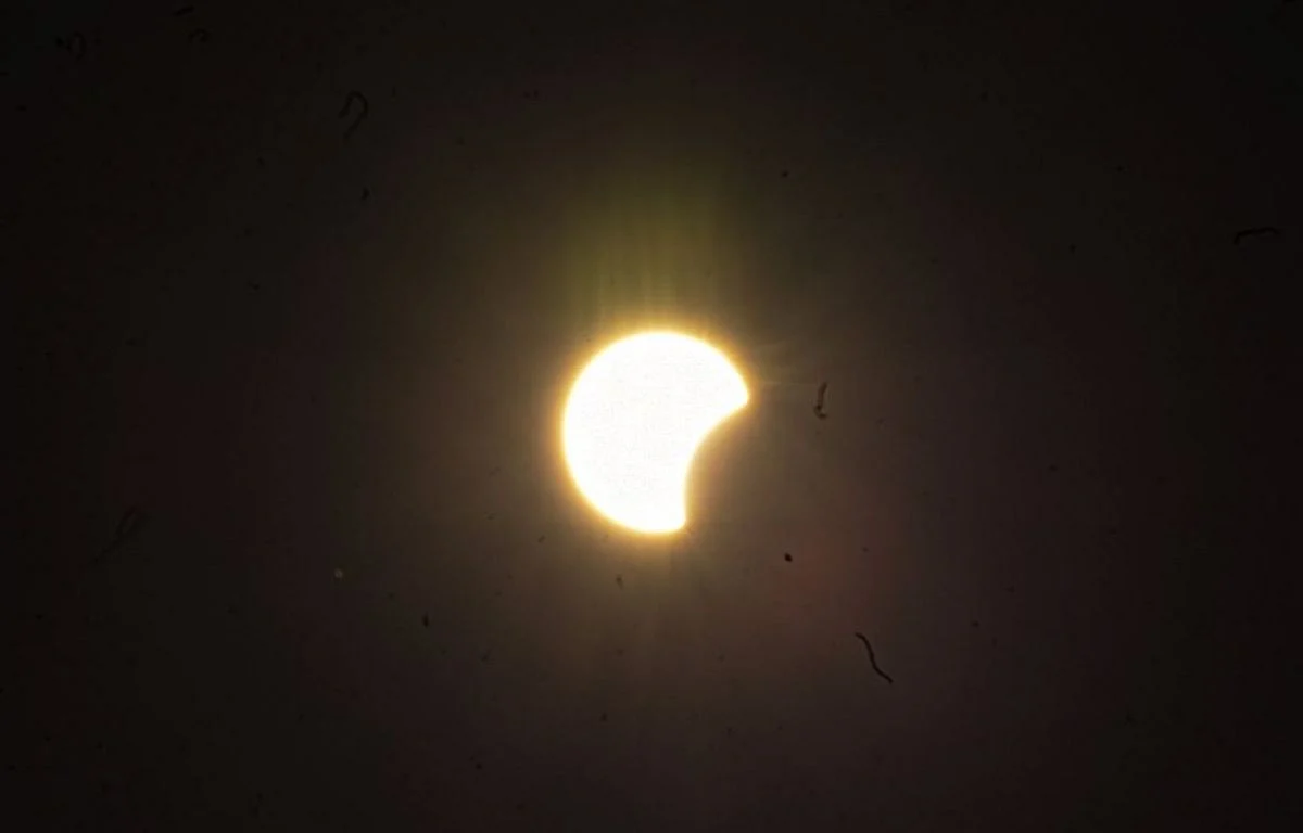 Kamakhya Temple door to remain closed on Dec 26, 2019 on account of solar eclipse in Assam