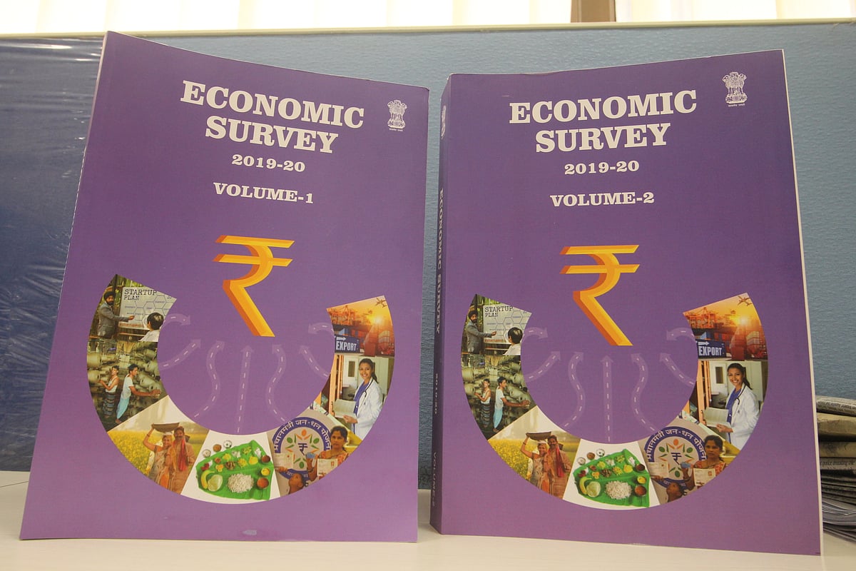 Economic Survey hints at creation of an Indian Economy Pvt Ltd