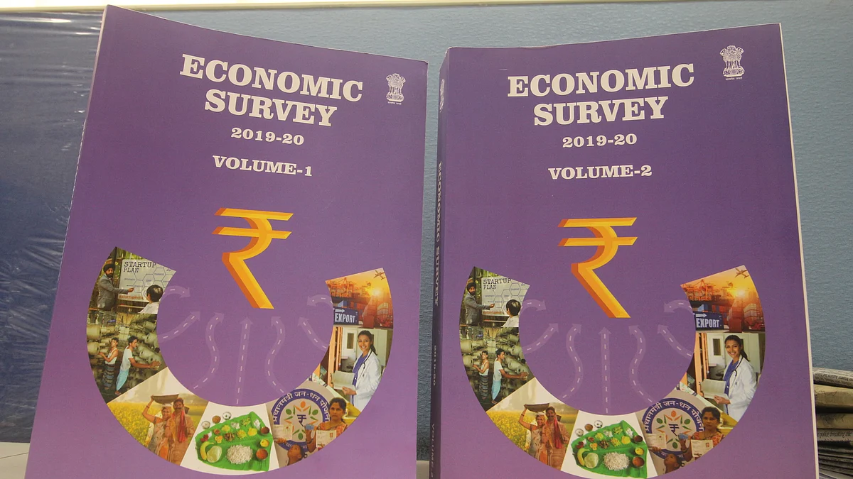 Economic Survey hints at creation of an Indian Economy Pvt Ltd