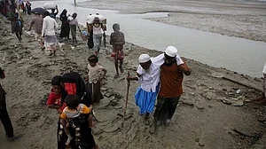 445 Bangladeshis returned from India in 2 months: Official