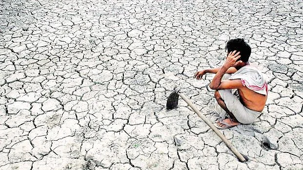 10,349 suicides in farming sector in 2018: NCRB