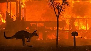 Research links Australian bushfires to ozone depletion